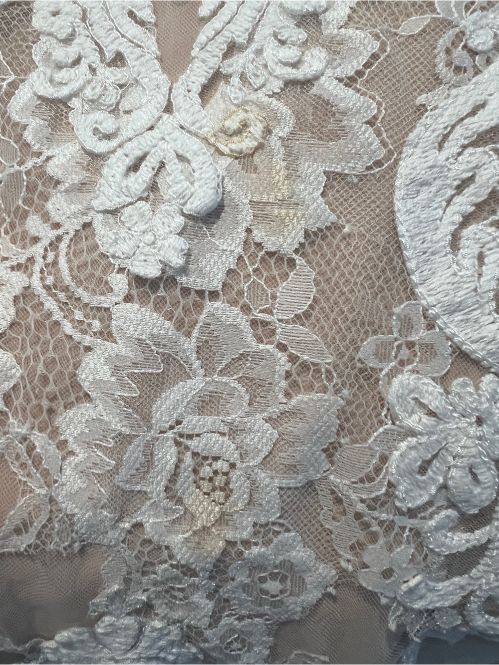Elegant Demetrios mermaid wedding dress - Picture 15 of 16